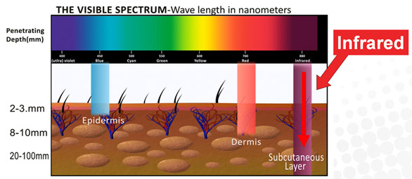 visible-spectrum